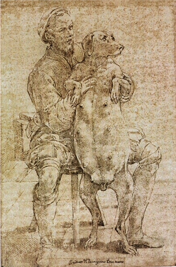 397px-Parmigianino,_autoritratto_con_cagna_gravida.jpg